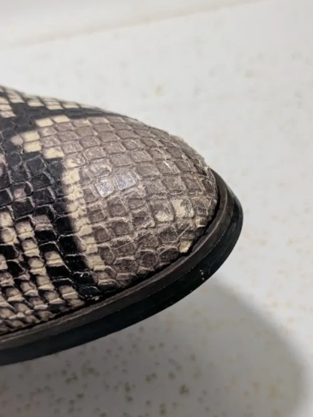 Steve Madden Rewind Snakeskin Ankle Booties Block Heel Women's 6 REWI01S1
